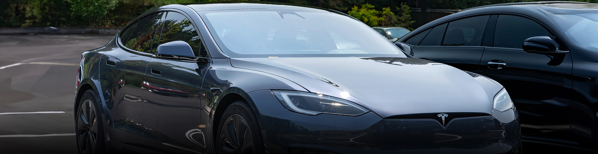 Professional Tesla detailing 